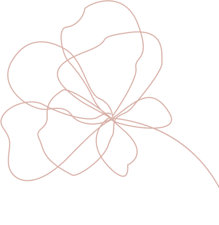 Illustration Blume rosa